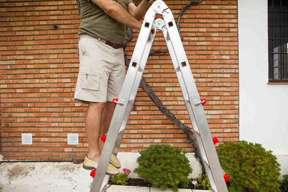 best step ladder for elderly