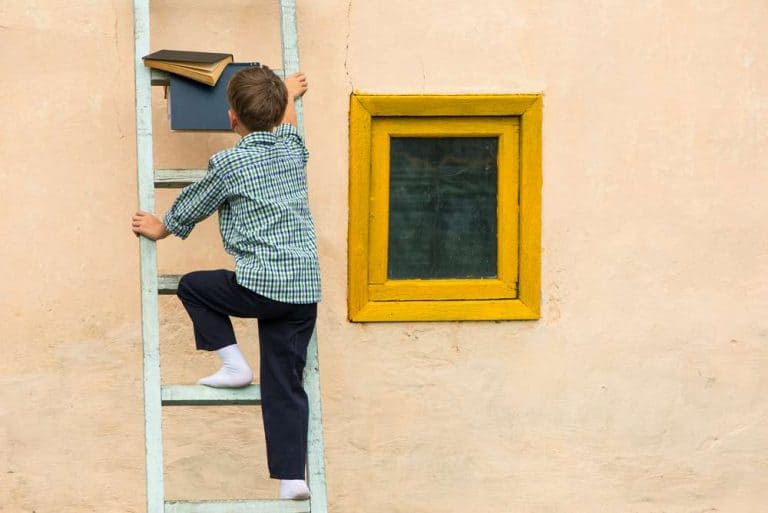 How to Climb a Ladder Without Sacrificing Safety?